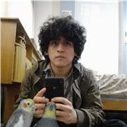 Clases de Matemáticas, a alumnos de secundaria, pre-universitario y universitario